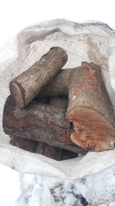 Сухі дрова з саду