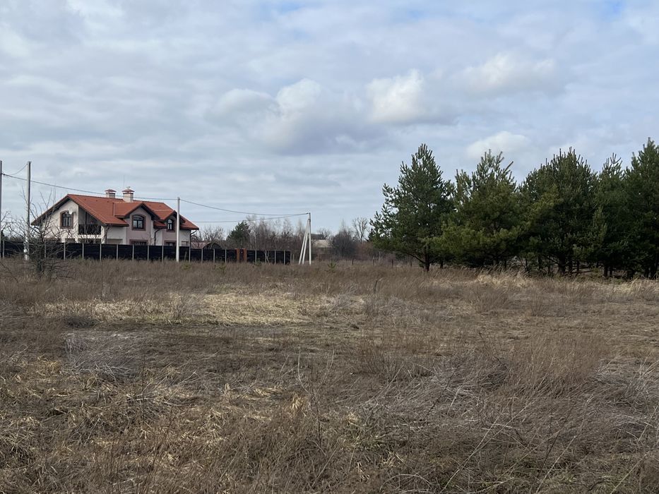 15 сот біля соснового лісу з ялинками с.Здорівка