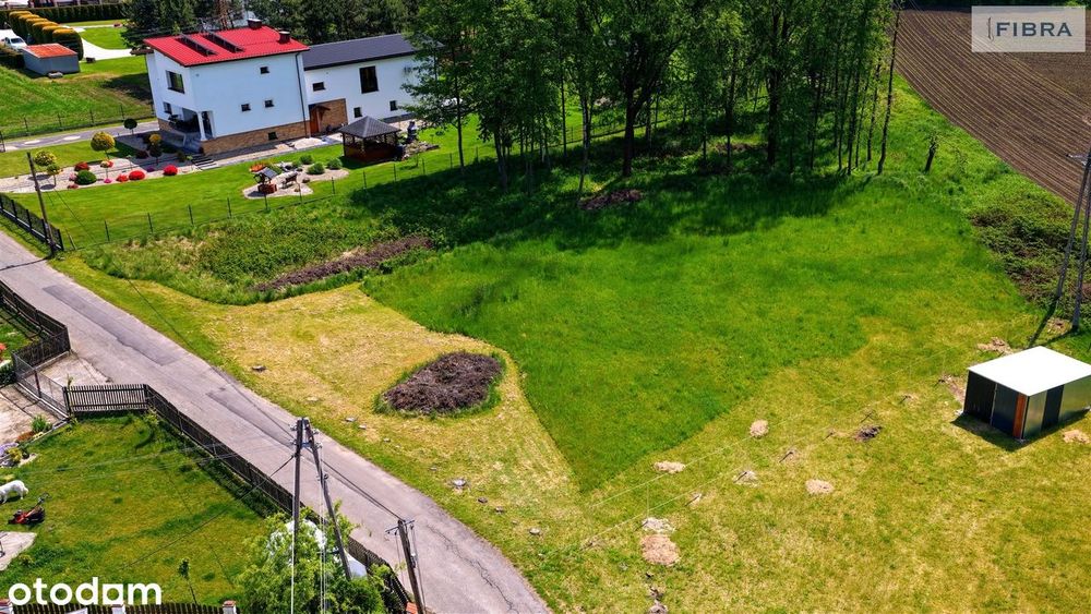 Tu możesz mieć dom… i własny kawałek lasu - Widok 2