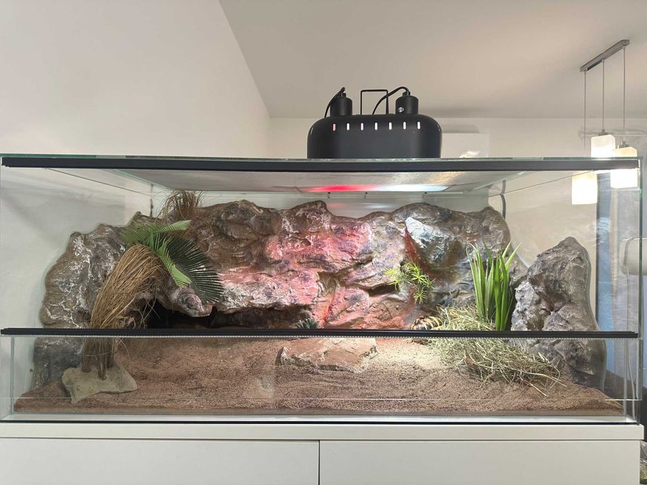 Terrarium ze ścianką\wyposażeniem 85x55x35