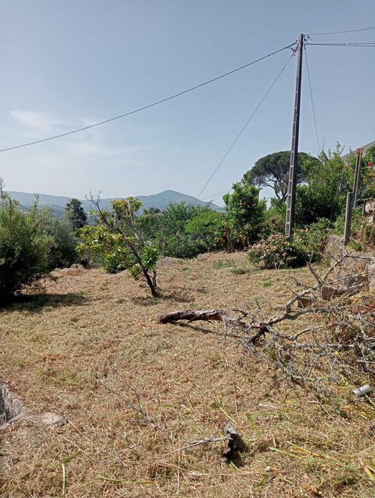 Construção e Manutenção de Jardins