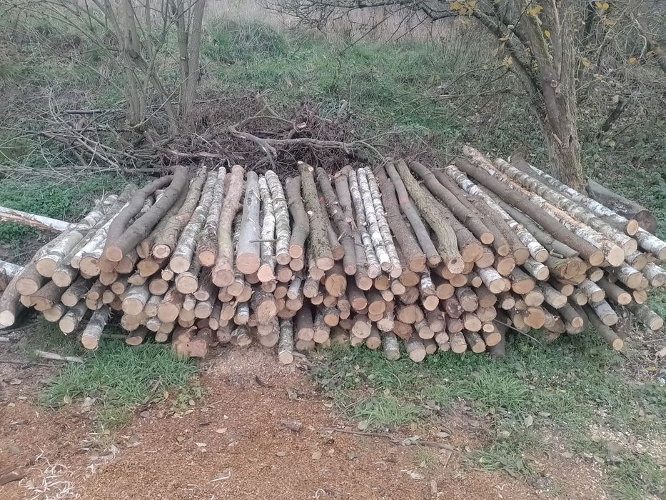 Drewno opałowe i kominkowe