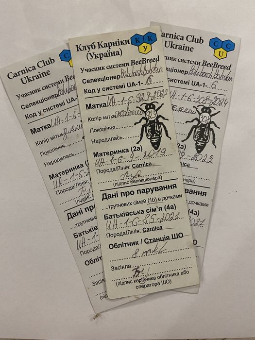 Бджоломатки