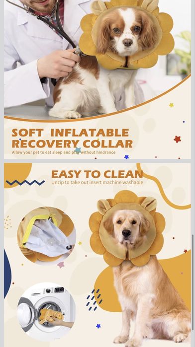 Coleira de recuperação inflável para cães