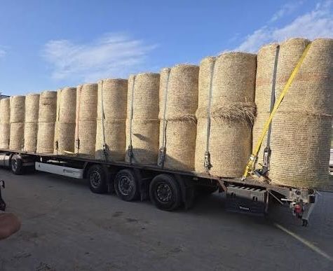 Transport  balotów siana słomy kiszonki beli