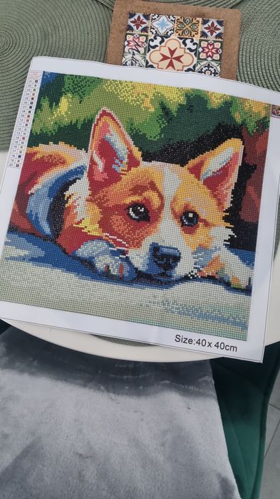Corgi  obraz diamentowy