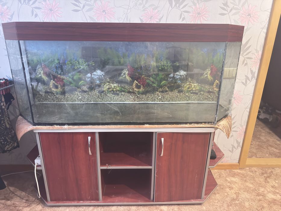 Акваріум з тумбою 350-400літрів