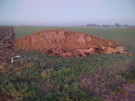 Pomiot kurzy bez słomy