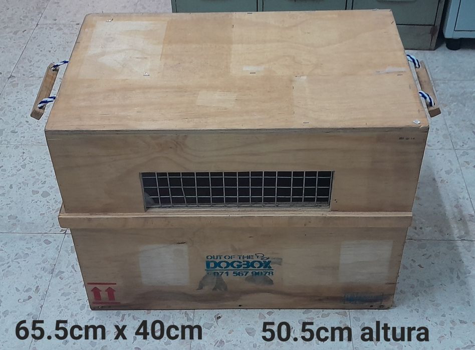 Transportadora de animais