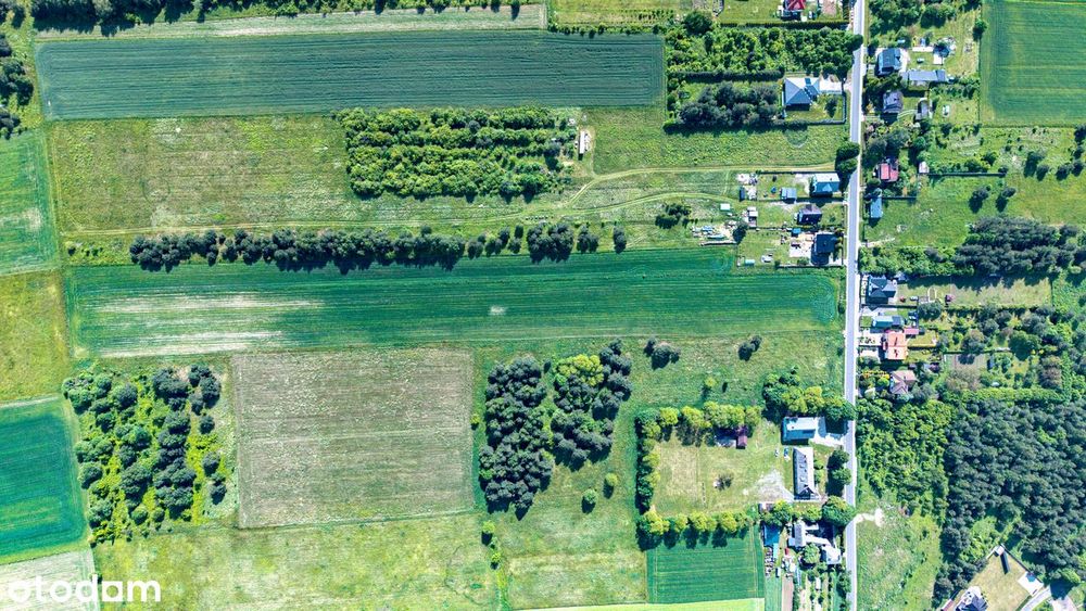 Działka rolno-budowlana 19770 m², lub 9800 m² za 249.000, JURA - View 4