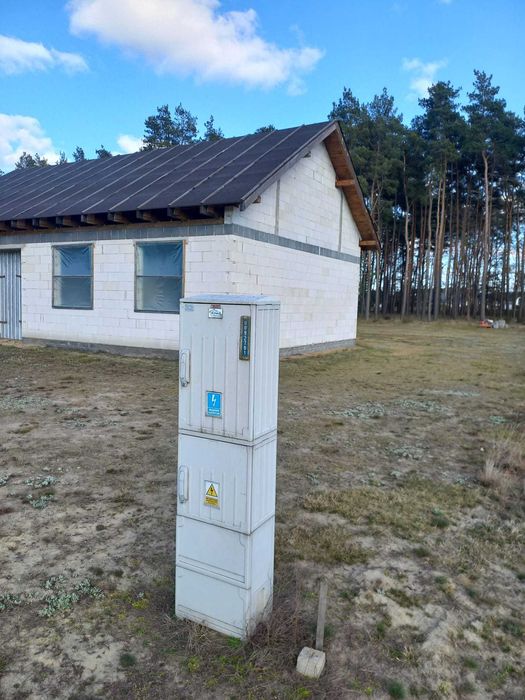 Dom stan surowy otwarty Boruja Nowa