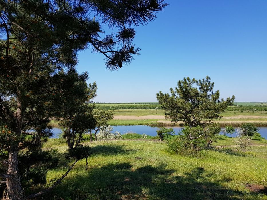 25 соток  в живописном месте, в лесу у реки. Калиновка Витовский р-н