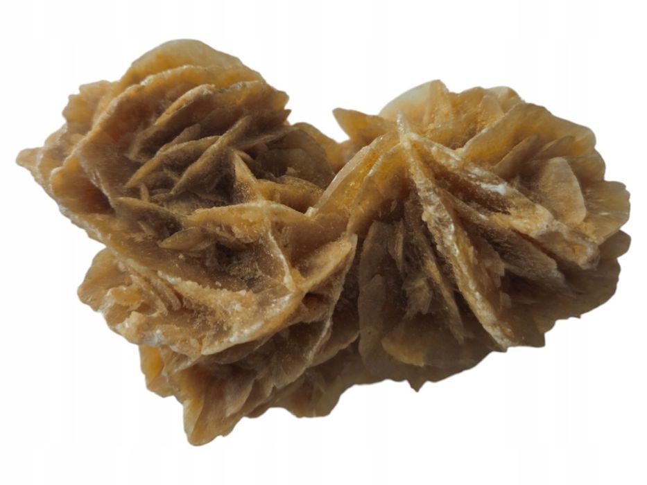 Róża Pustyni Naturalny Kryształ Selenitu Stan Bardzo Dobry