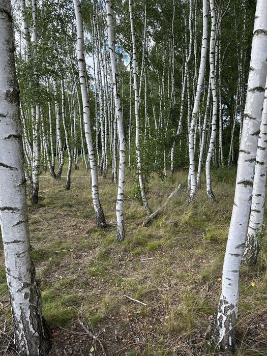 Piękna działka 3000m2
