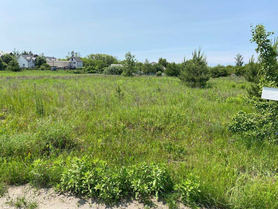 Продаж земельної ділянки, з молодими соснами, 20 хв до Києва