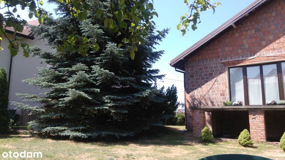 Dom na Złotnie - Widok 2