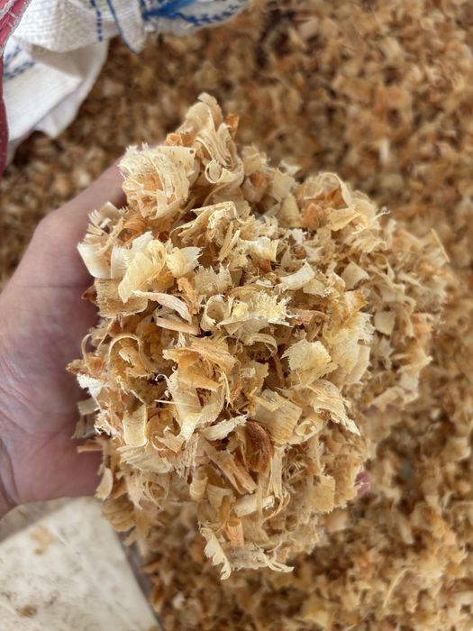Aparas de madeira de pinho Bigbag/M3
