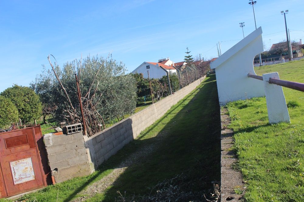 Terreno Aldeia Santa Margarida