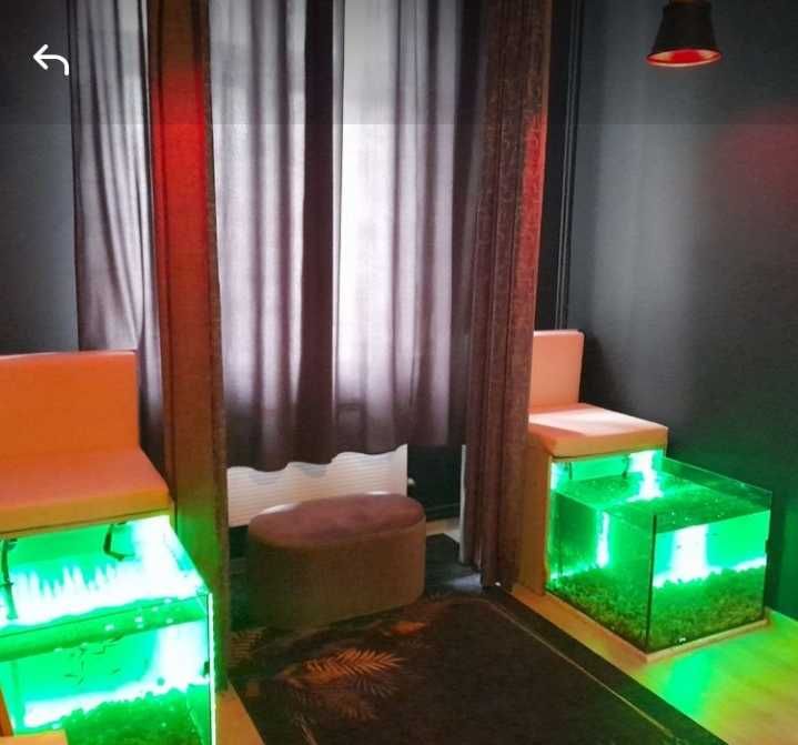 Sprzedam piękne akwaria do Fish Spa