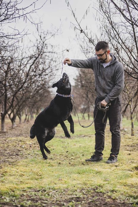 Nela - radosna i przyjacielska suczka szuka kochającego domu!
