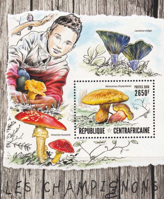 RŚA 2016 cena 6,90 zł kat.8€ - grzyby, blok