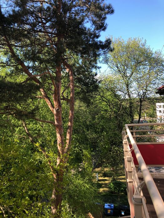 Apartamenty na Zdrojowej