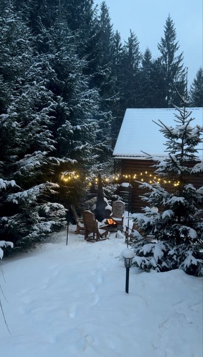 «Котеджі біля лісу» на 4-8 осіб