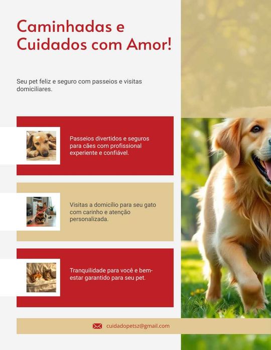 Passeio de Cães & Visitas a Gatos/Cães ao Domicílio – Águas Santas, Pedrouços, Areosa