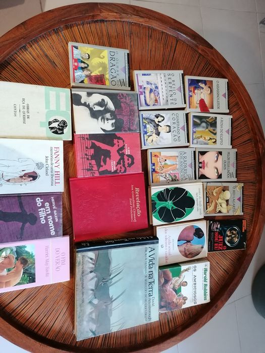 Coleção de livros diversos