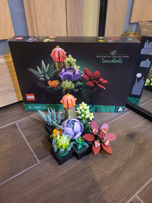 LEGO 10309 Sukulenty