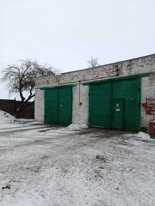Продаж елеваторного комплексу ТОВ «ТАС АГРО ЦЕНТР» (с. Ольшаниця)