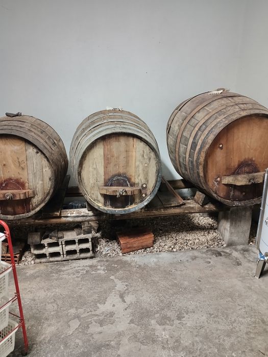 Pipas para vinho em madeira.
