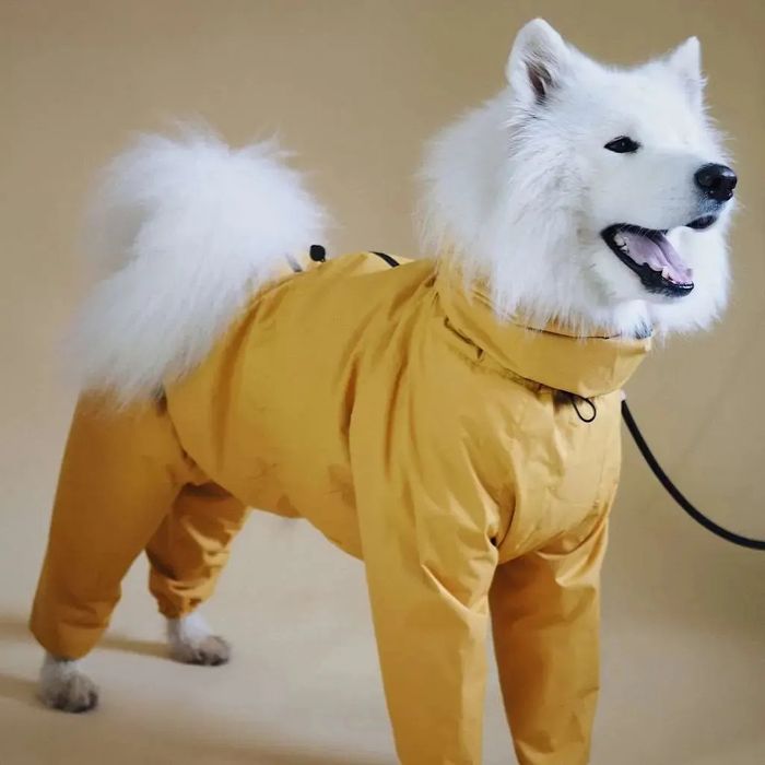 Одяг для тварин. Дощовики, жилети, худі, комбінезони. Інд. пошив