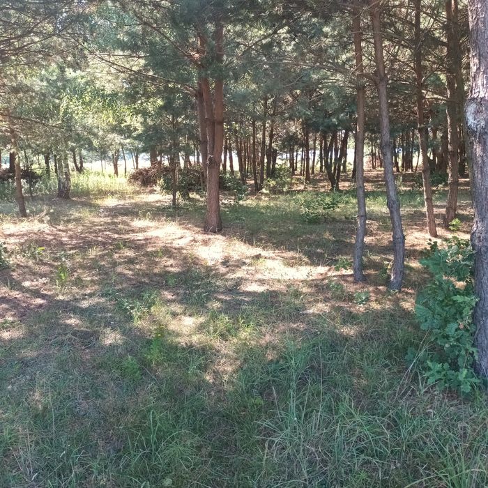 Działki budowlane z warunkami zabudowy 1800 m - Widok 2