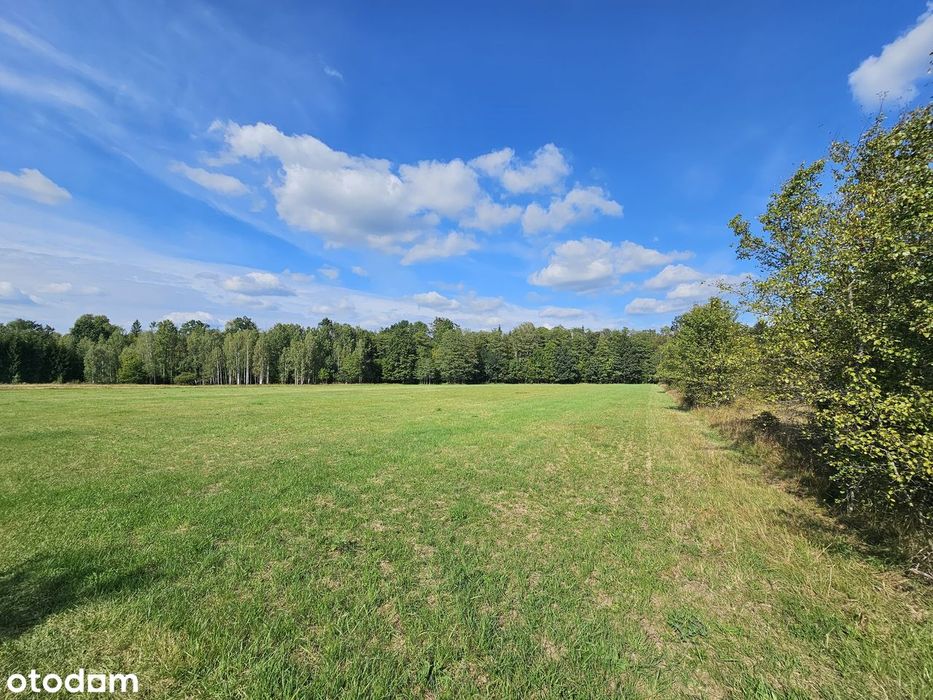 Własne Miejsce W Puszczy Białowieskiej–Cisza, Natura I Off-Grid 0,56Ha