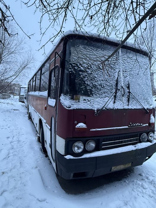 Продам Ікаруси 2 штуки! Ціну пропонуйте(Продам Икарус)