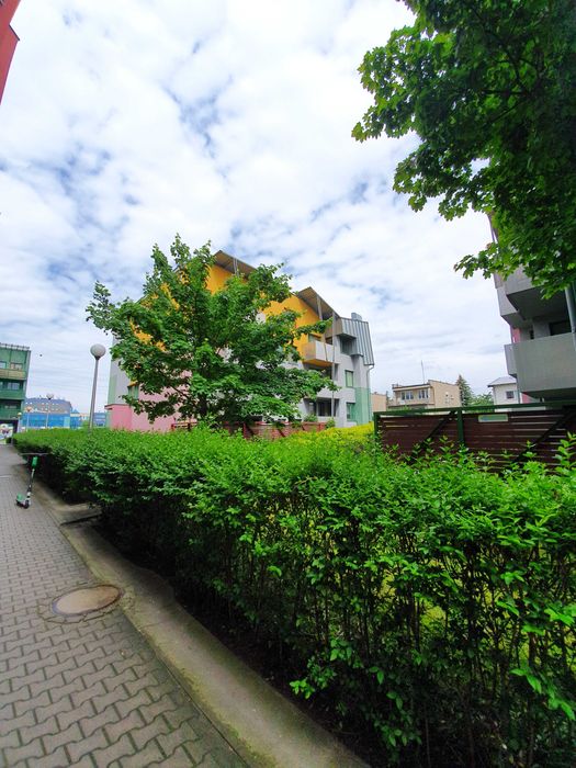 Wynajmę mieszkanie 3 - pokojowe na Gaju