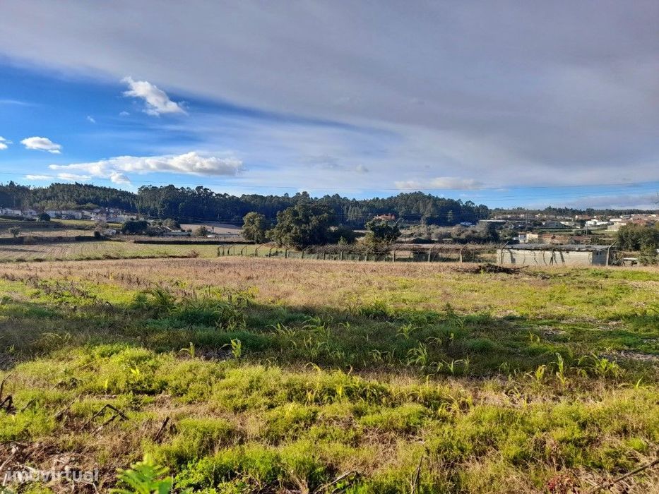 Moradia com terreno 25.000 m2, S. Mamede Coronado