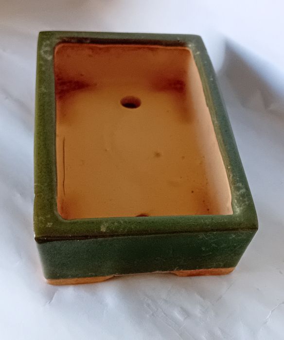 Vaso Bonsai rectangular