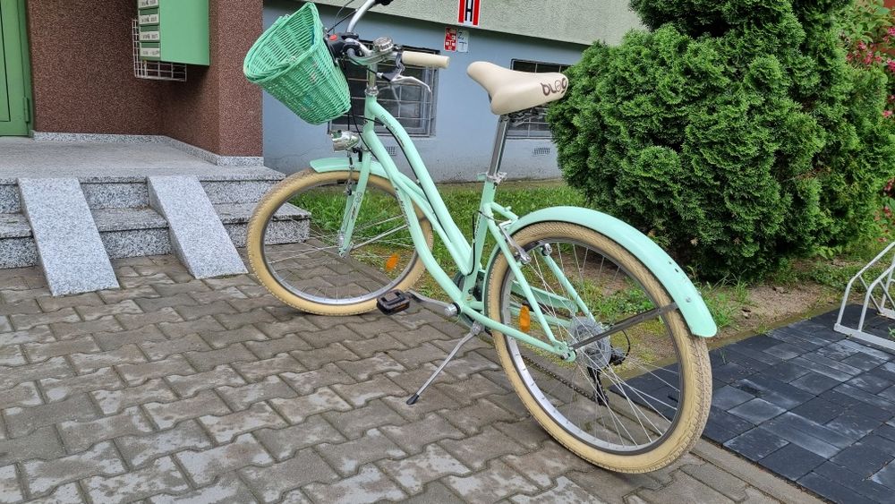 Rower miejsski Indiana cruiser moody