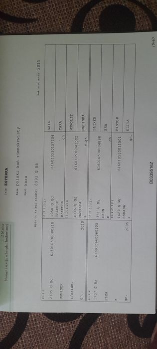 Zrebica zimnokrwista