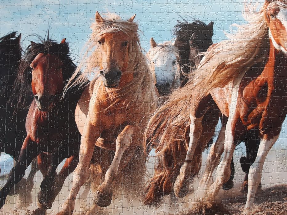 Konie puzzle Trefl 1000