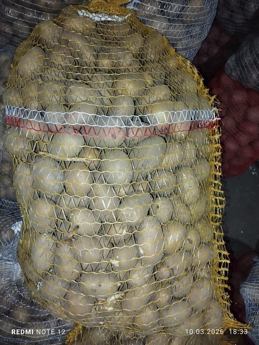 Ziemniaki Jrys orginalny