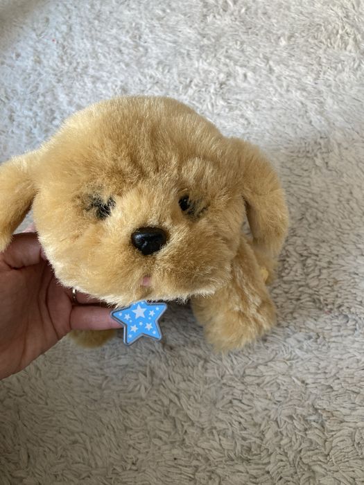 Zestaw dwóch interaktywnych piesków