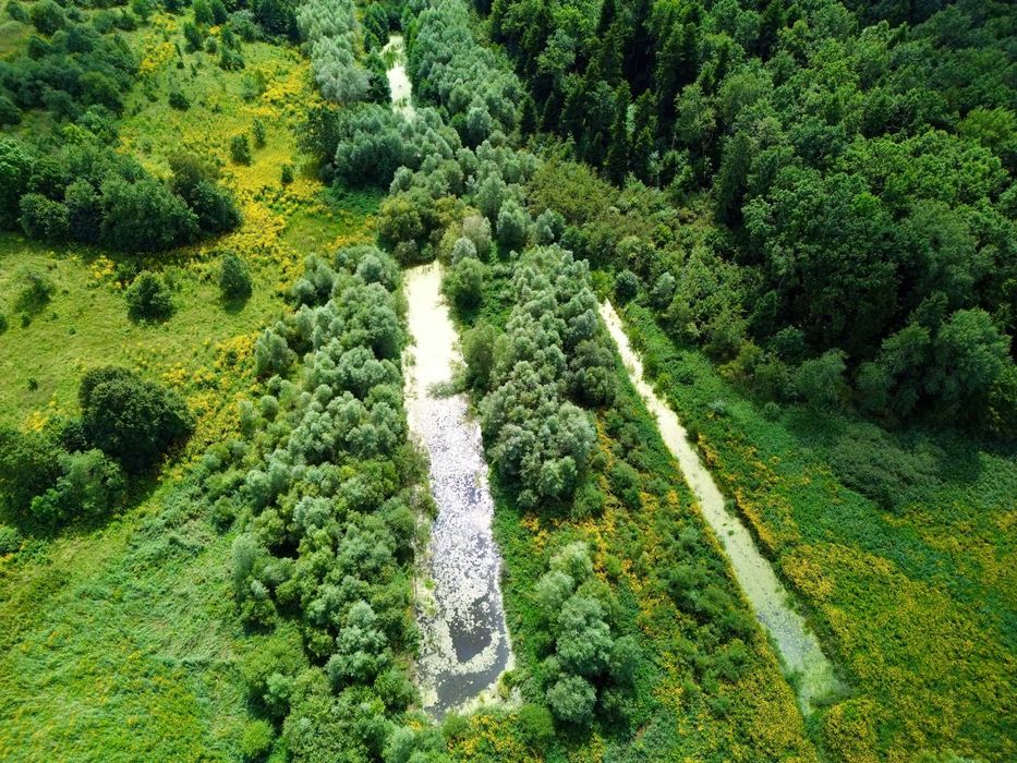 Продаж ділянки 2.1 га. з озерами та приляганням до лісу