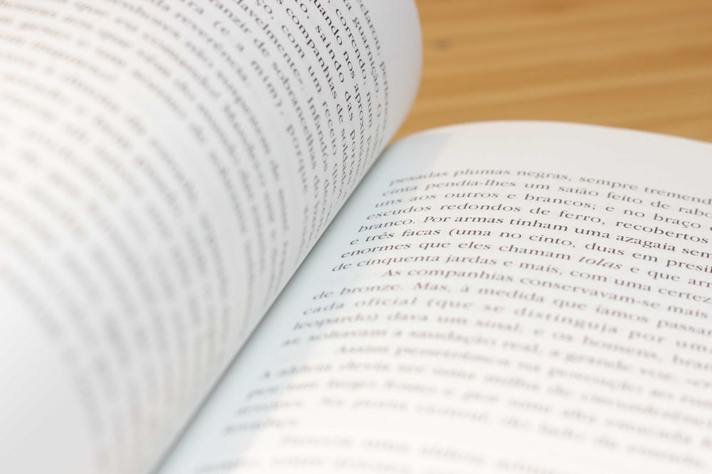 AS MINAS DE SALOMÃO (livro em português)