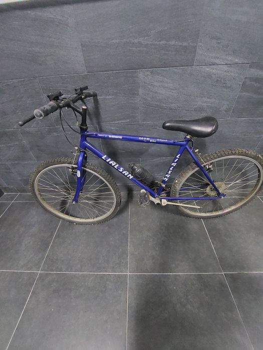 Bicicleta  normal