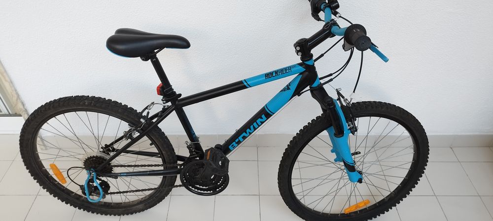 skull and bones cruiser bicycle