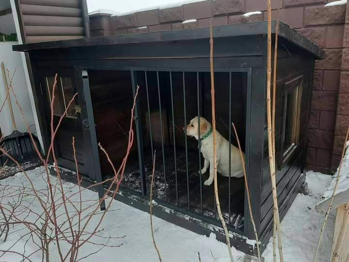 Будка для собаки