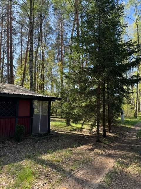 Działka rekreacyja Mierzwice kol. pow. 1409 m² - Widok 3